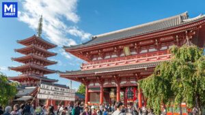 旅遊熱潮持續升溫！momo預估11月國外票券銷售飆增50%