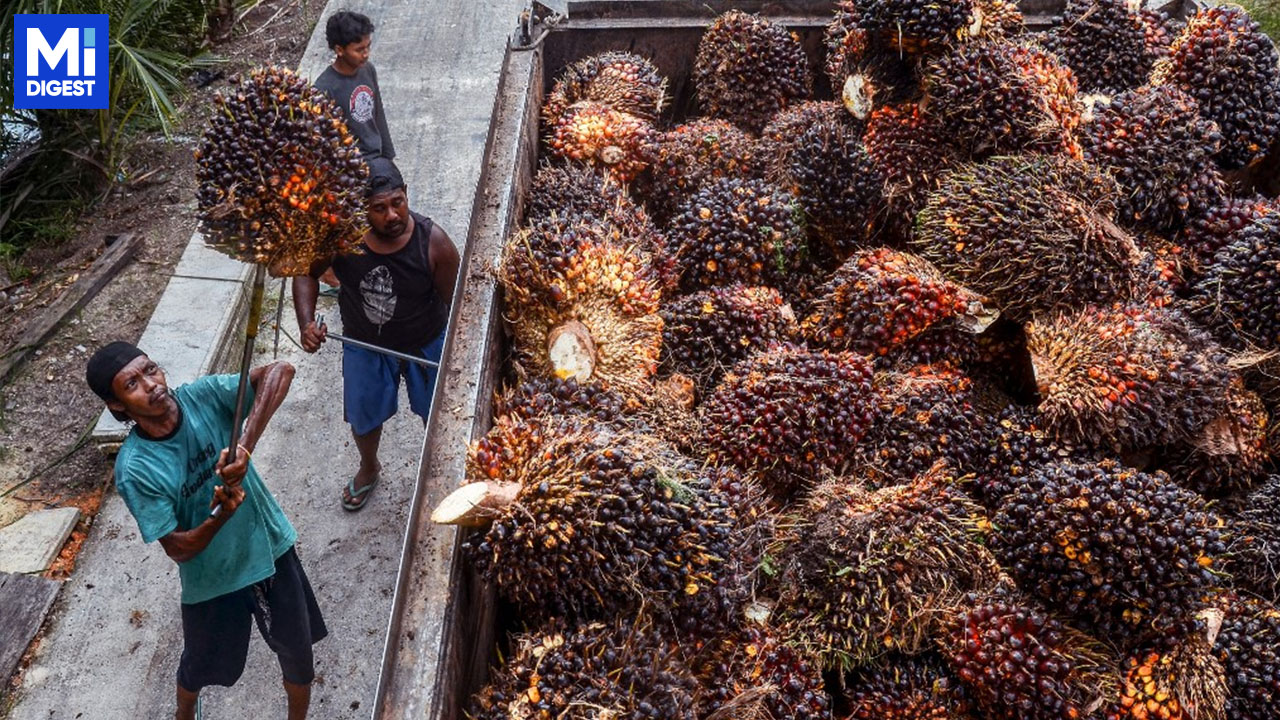 南美氣候異常與印尼提高棕櫚油出口關稅 推動黃豆需求上升上升南美氣候異常與印尼提高棕櫚油出口關稅 推動黃豆需求上升 1 南美氣候異常與印尼提高棕櫚油出口關稅 推動黃豆需求上升