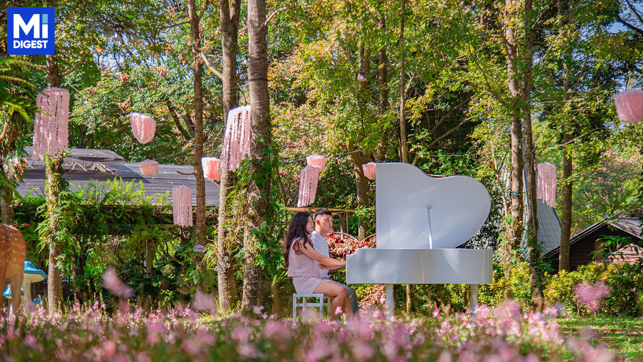2024南投花卉嘉年華開跑!14場精彩活動 冬季花海狂歡免票入園 1 2024南投花卉嘉年華開跑!14場精彩活動 冬季花海狂歡免票入園